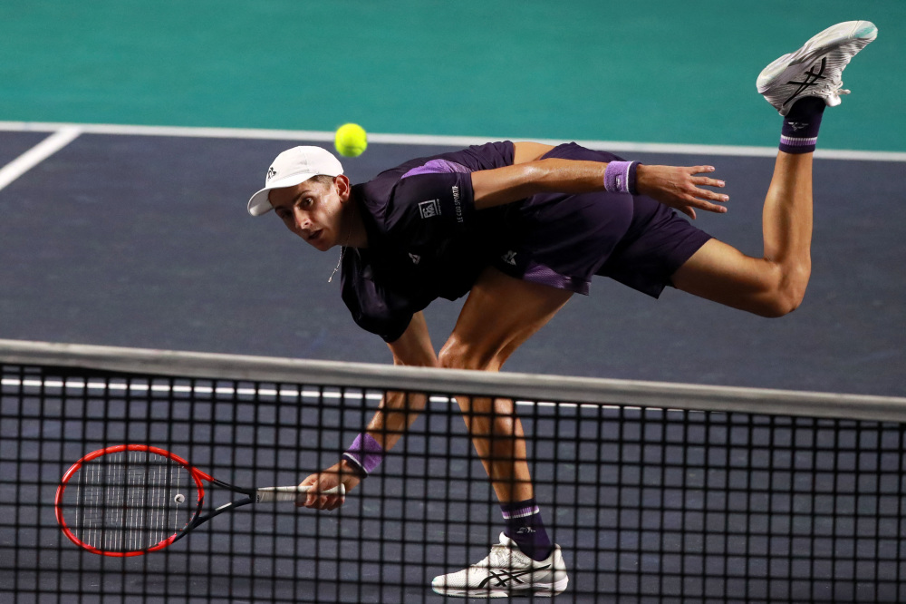 尽管只是新 尽管只是新